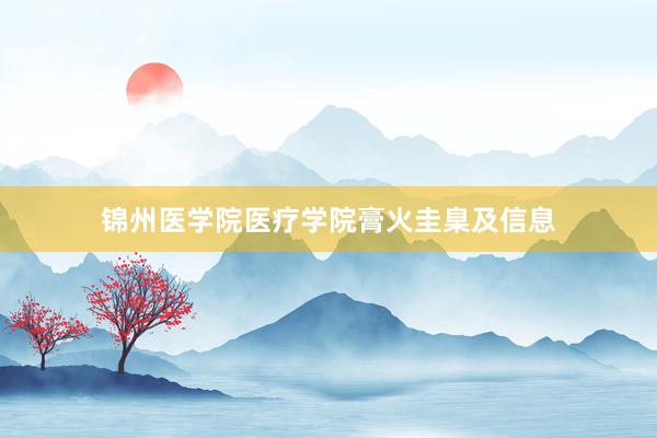 锦州医学院医疗学院膏火圭臬及信息