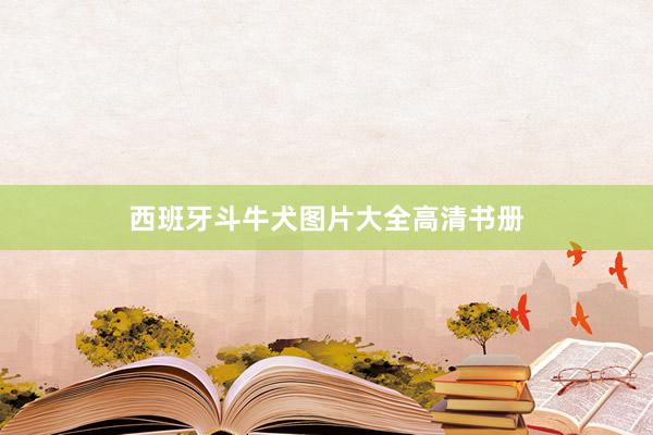 西班牙斗牛犬图片大全高清书册
